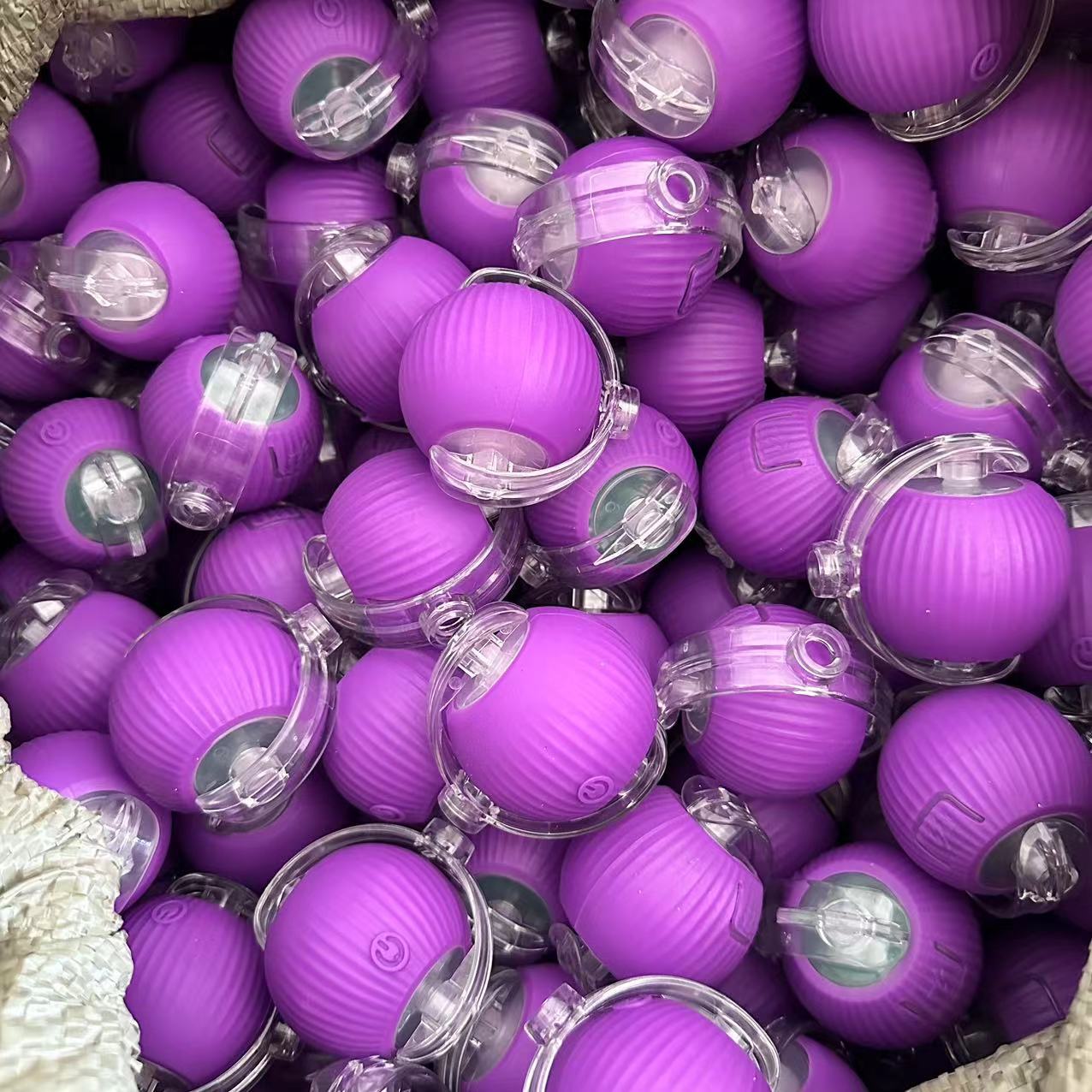 Pet Toy Ball