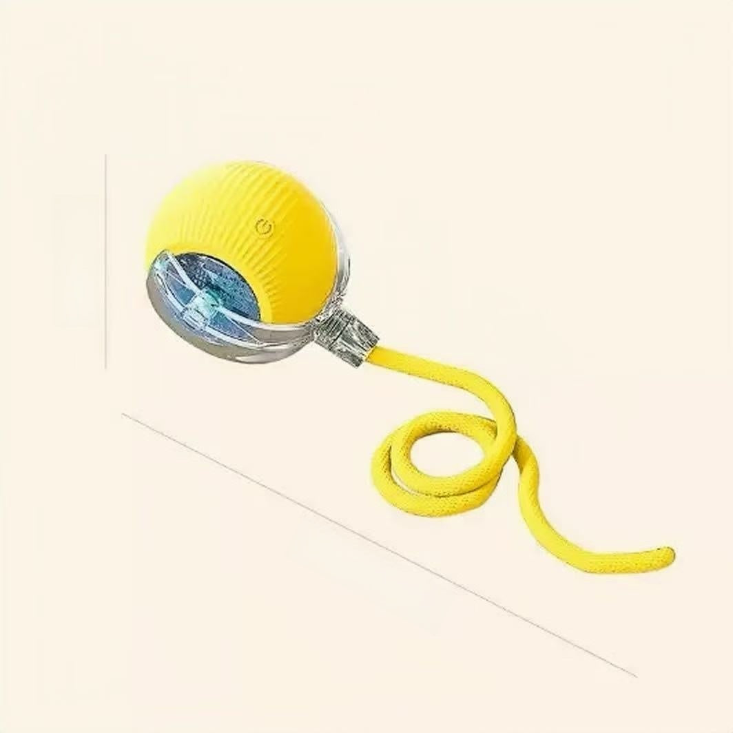 Pet Toy Ball