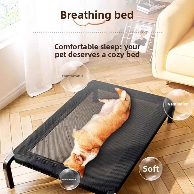 Elevated Pet Camp Bed with Mesh