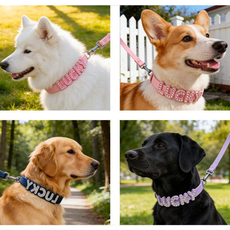 Custom Silicone Pet Leash with Name Tag