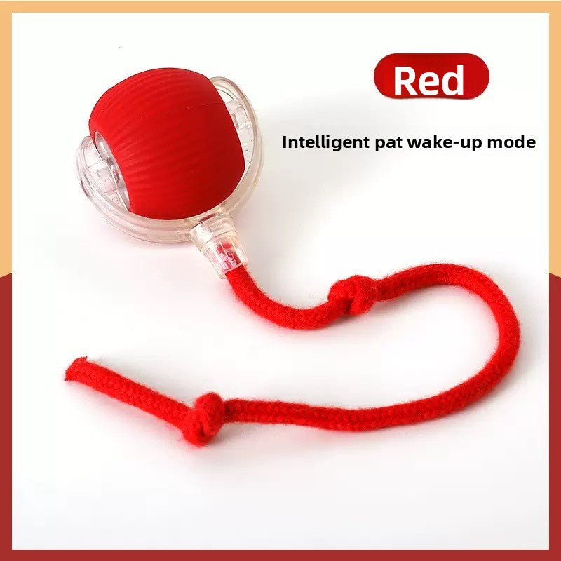 Pet Toy Ball