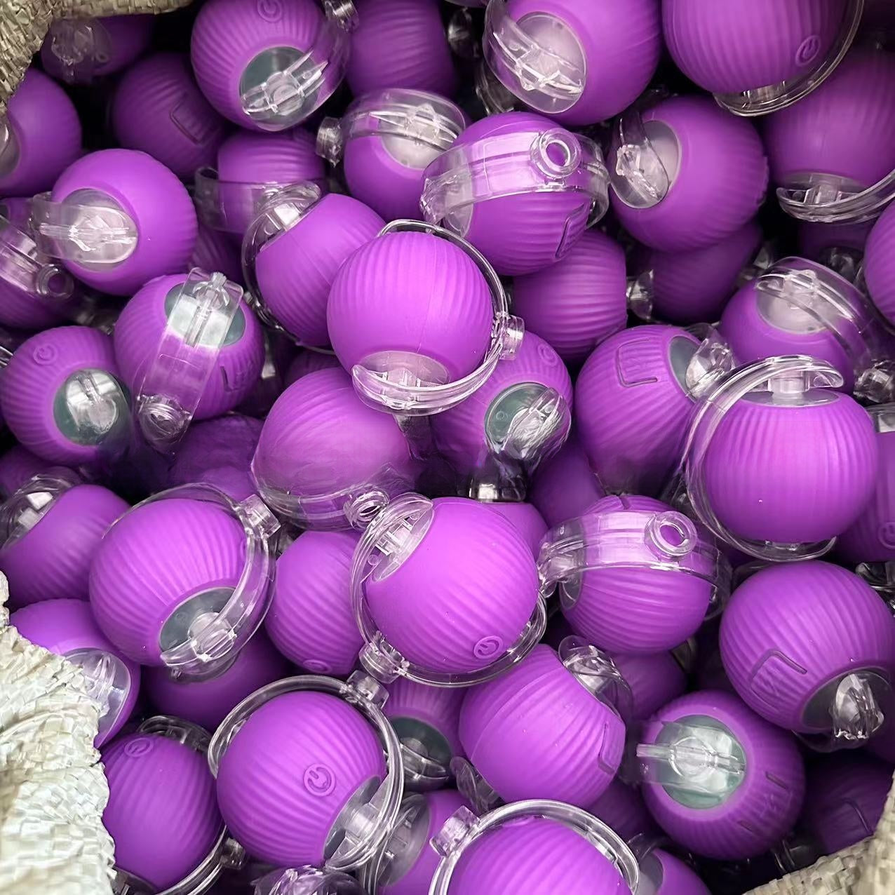 Pet Toy Ball