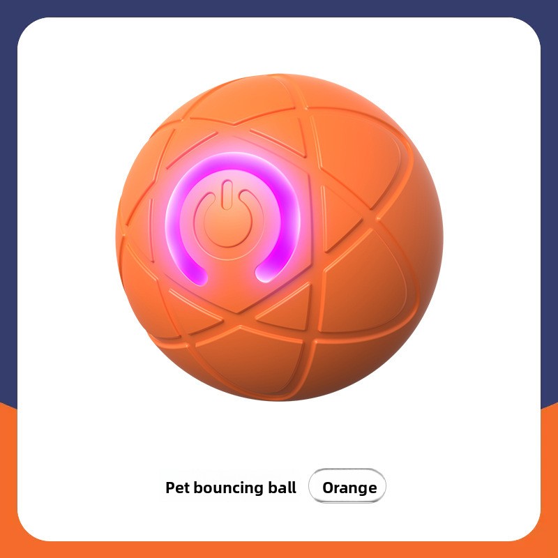 Pet Toy Ball