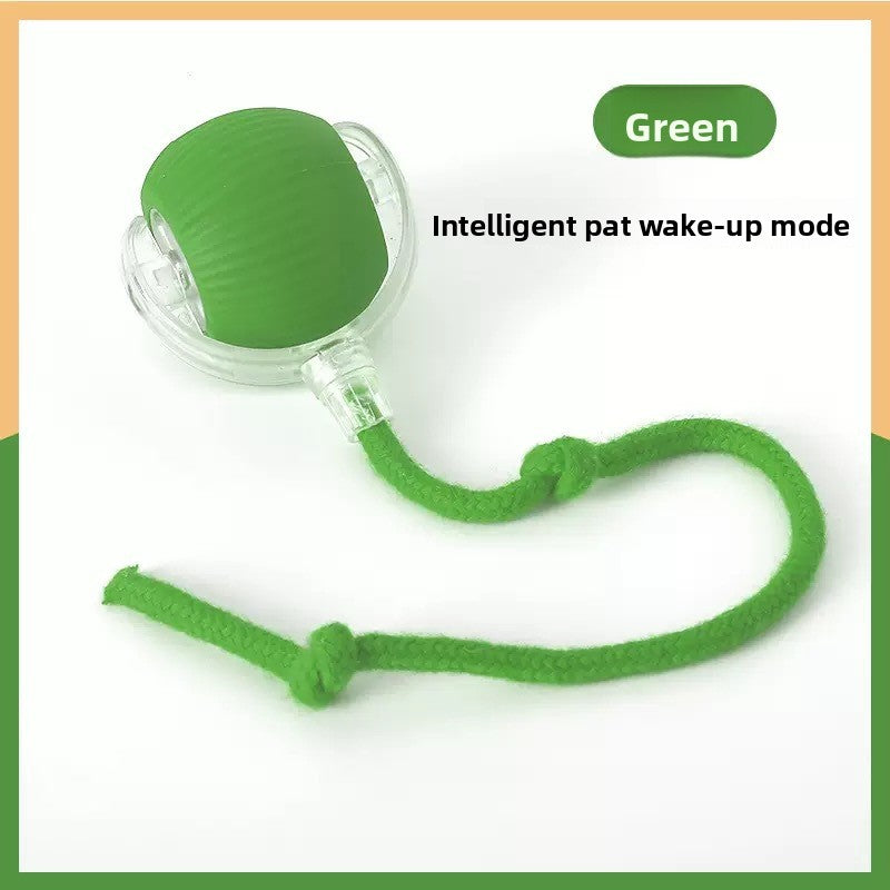 Pet Toy Ball