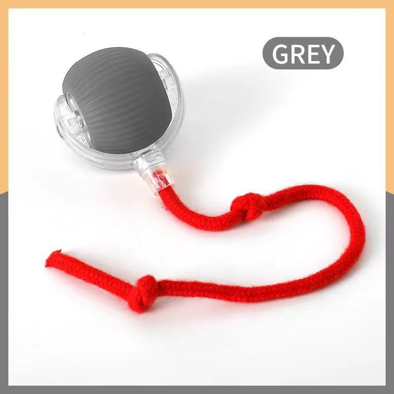 Pet Toy Ball