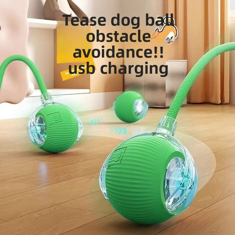 Pet Toy Ball