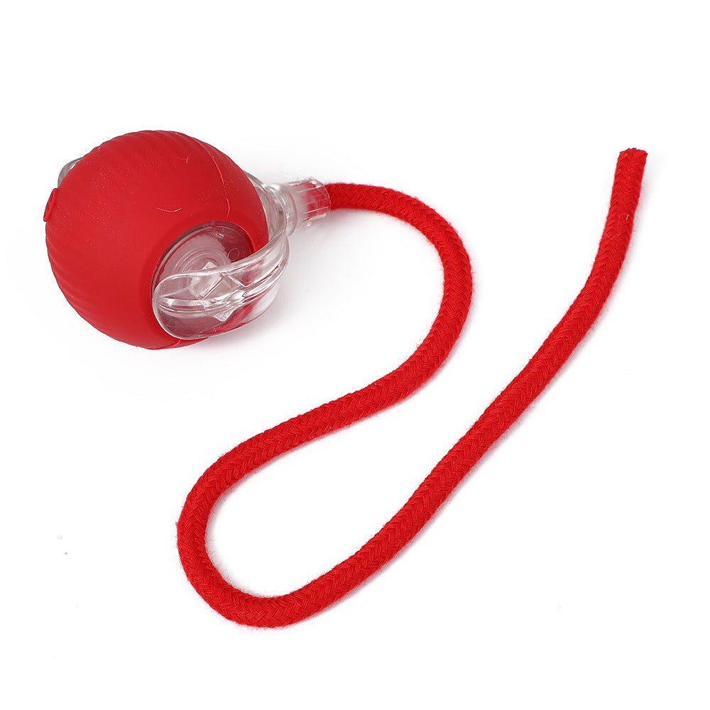 Pet Toy Ball