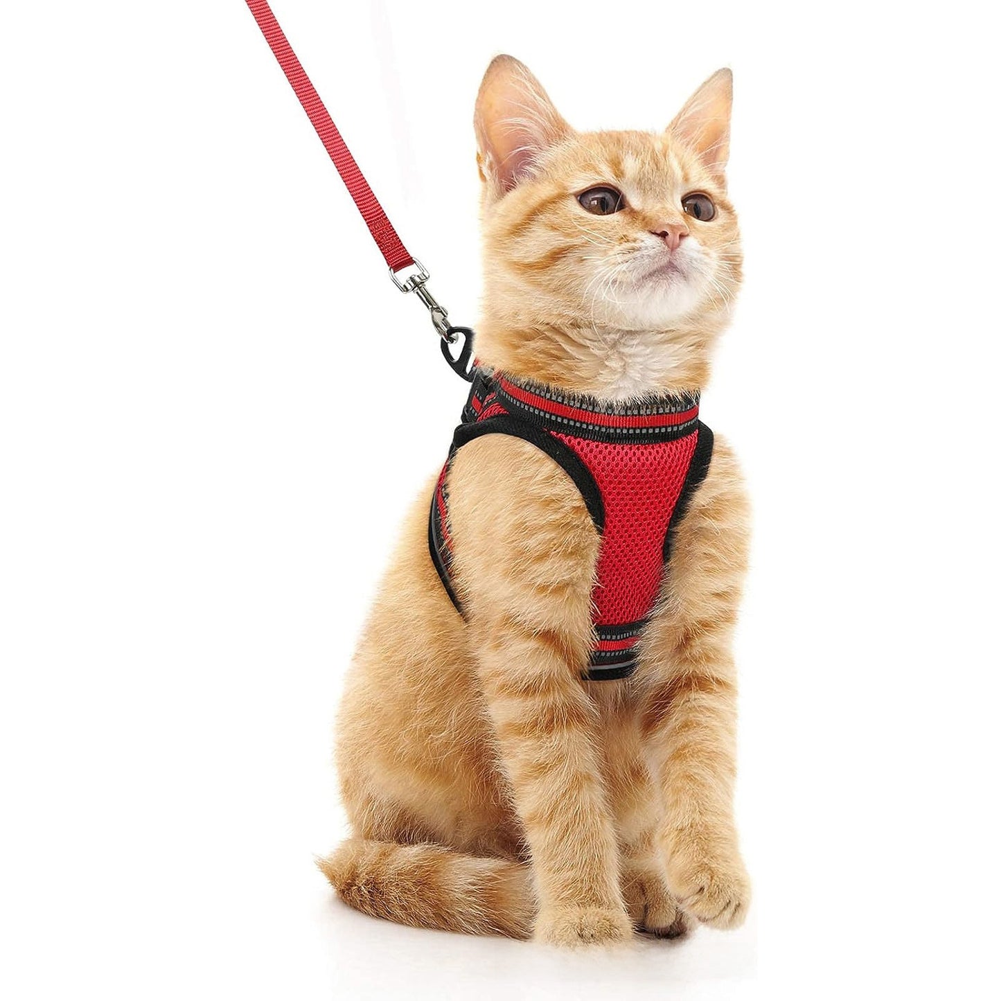 Adjustable Reflective Pet Harness with Leash