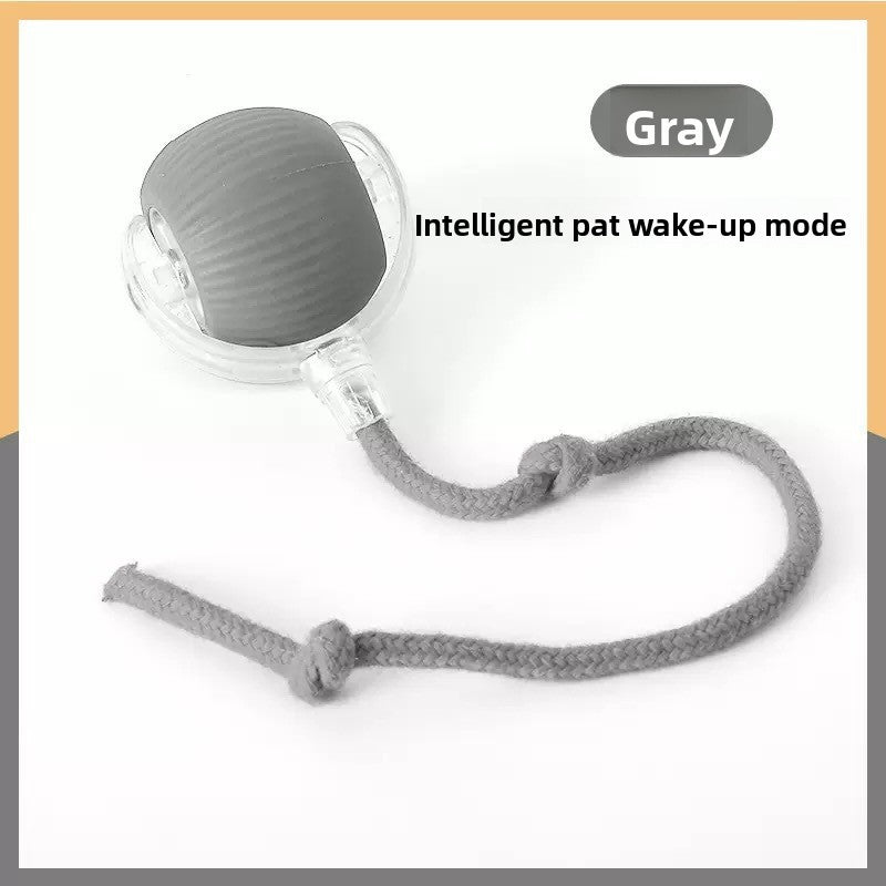 Pet Toy Ball