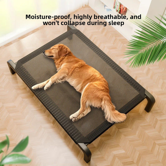 Elevated Pet Camp Bed with Mesh