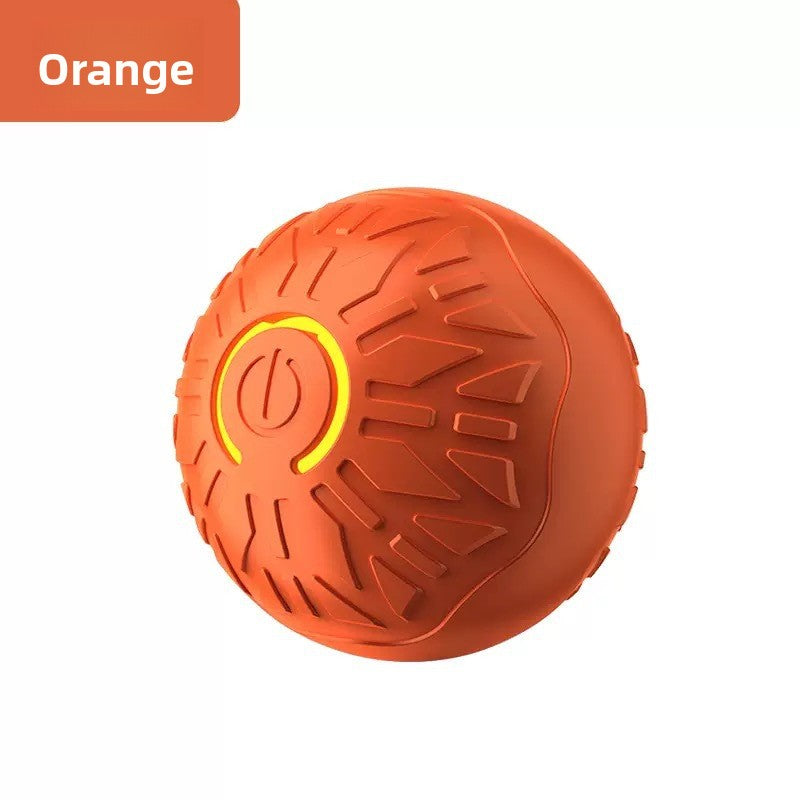 Pet Toy Ball