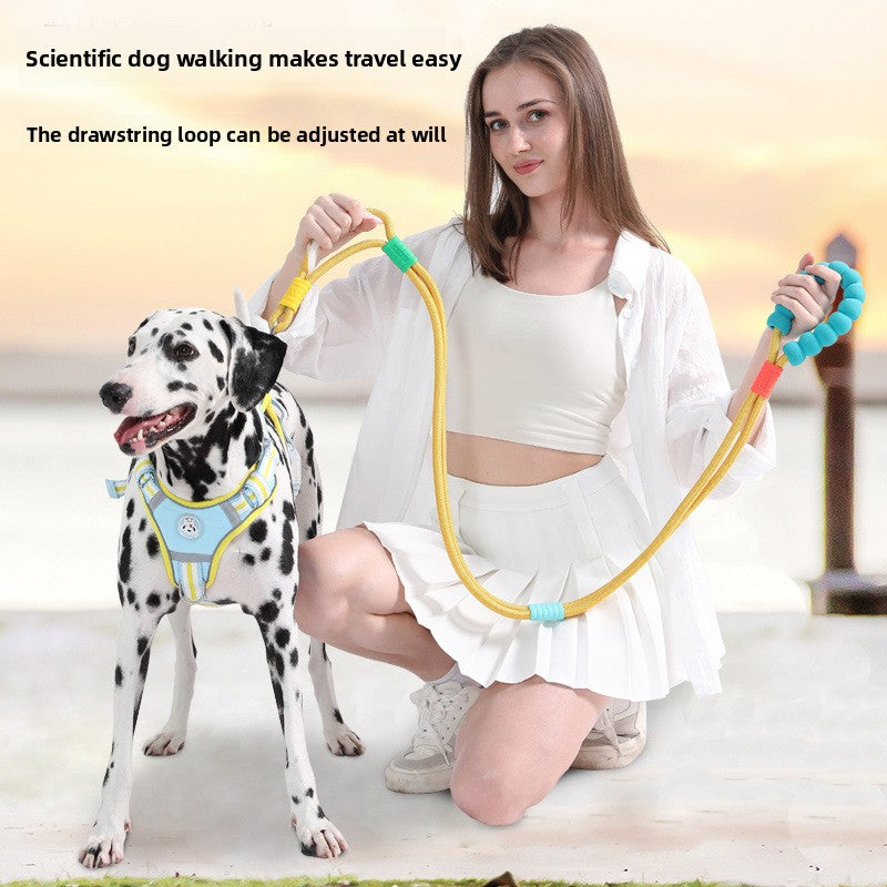 Dopamine Color Pet Leash and Collar Set