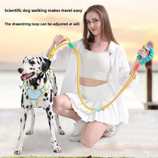 Dopamine Color Pet Leash and Collar Set