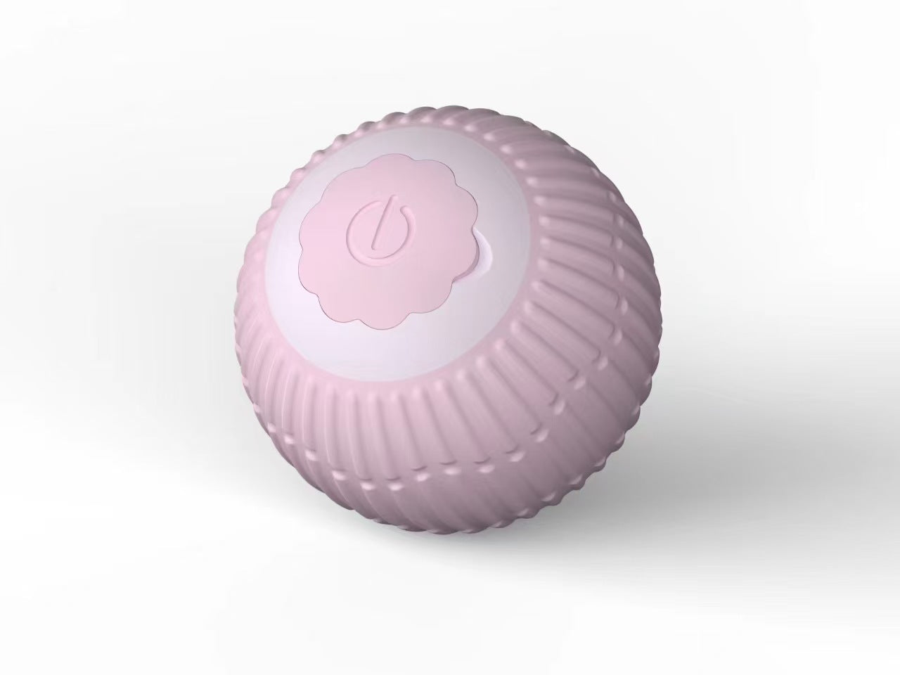 Pet Toy Ball