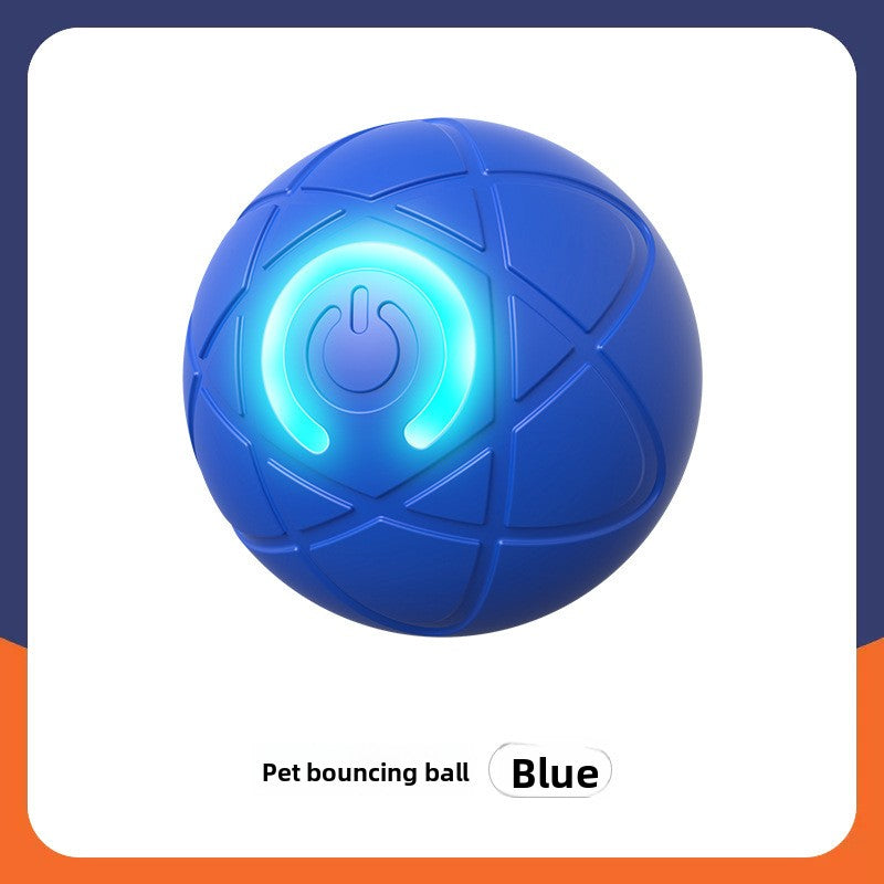 Pet Toy Ball