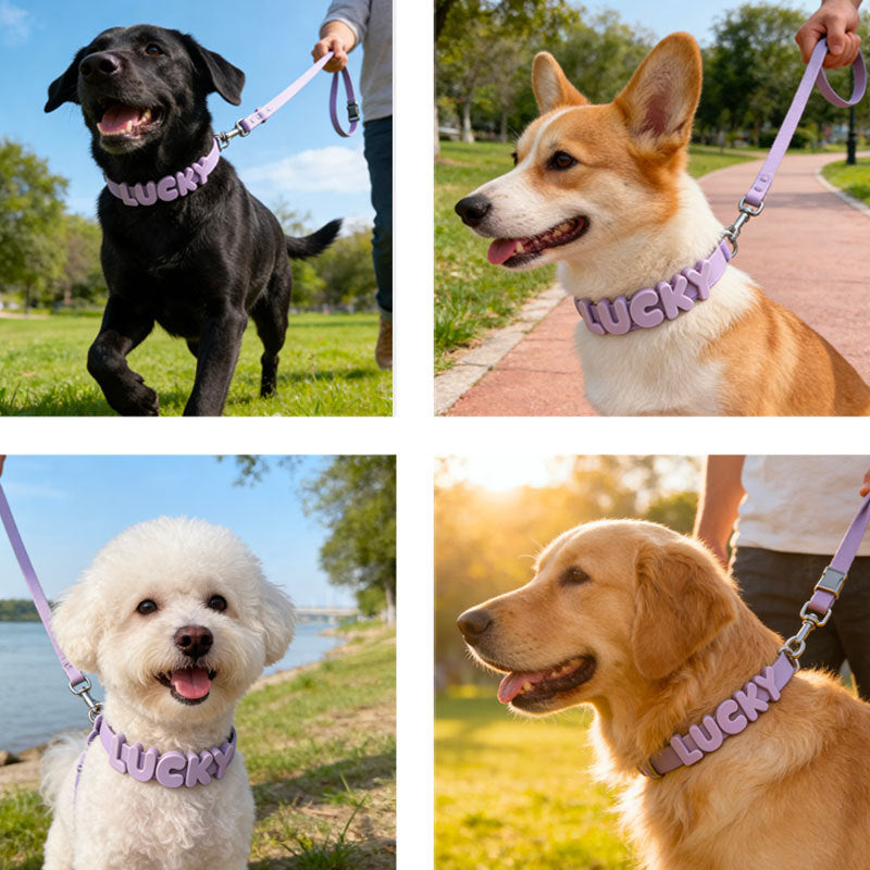 Custom Silicone Pet Leash with Name Tag