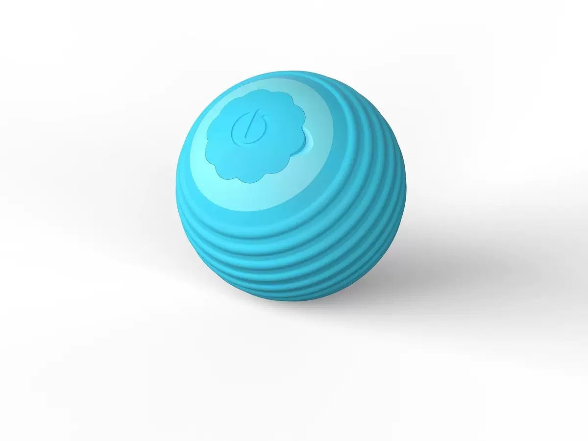 Pet Toy Ball