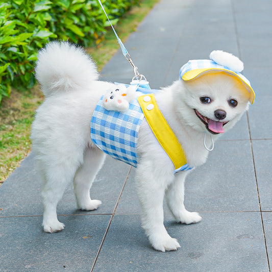 Adjustable Pet Harness with Leash for Cats and Dogs