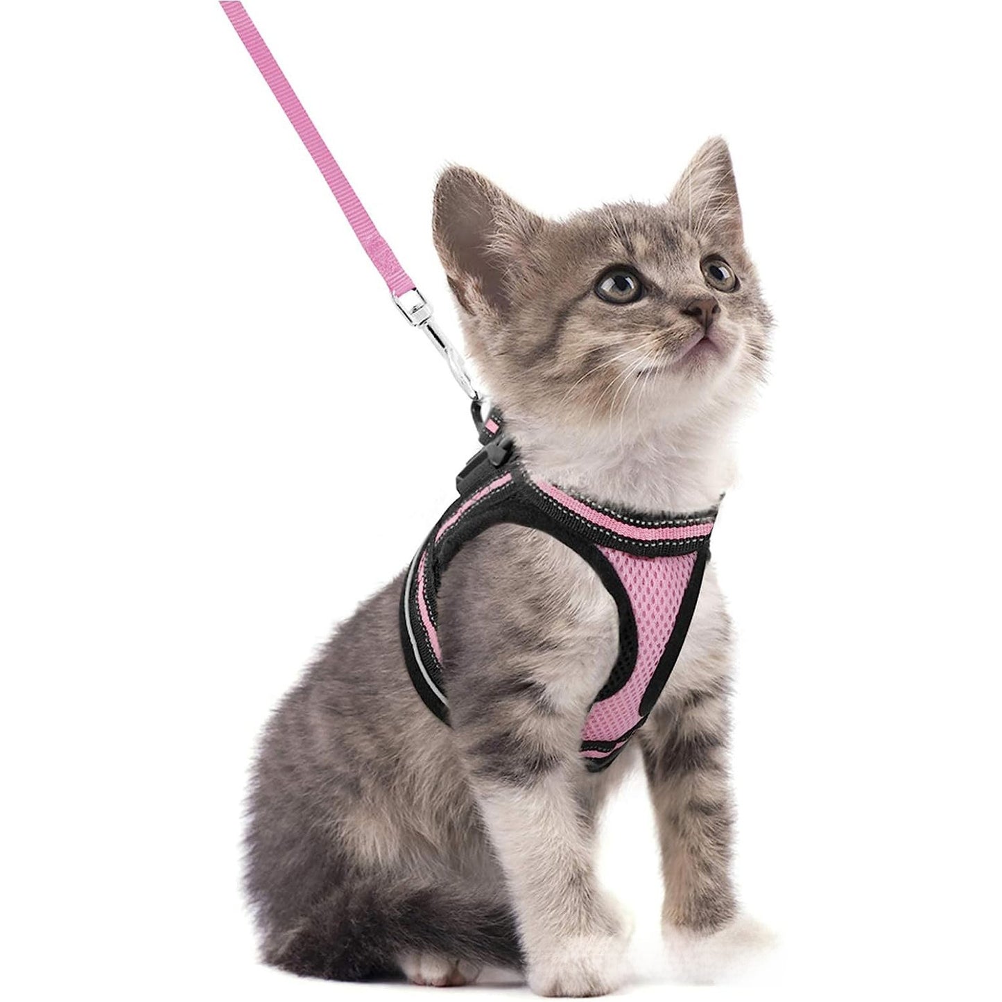 Adjustable Reflective Pet Harness with Leash