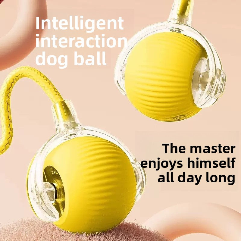 Pet Toy Ball