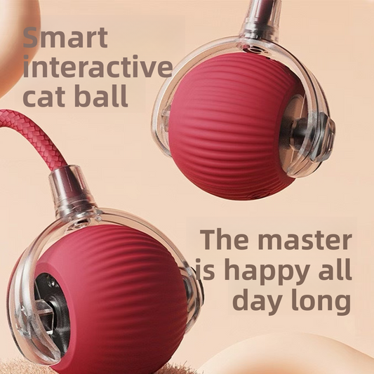 Pet Toy Ball