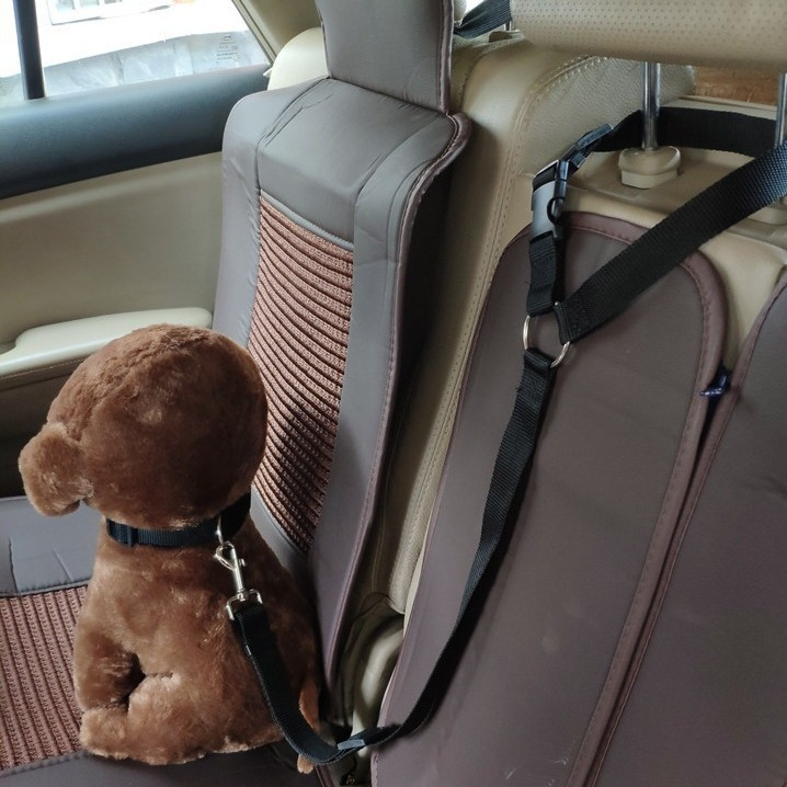 Retractable Pet Car Safety Leash