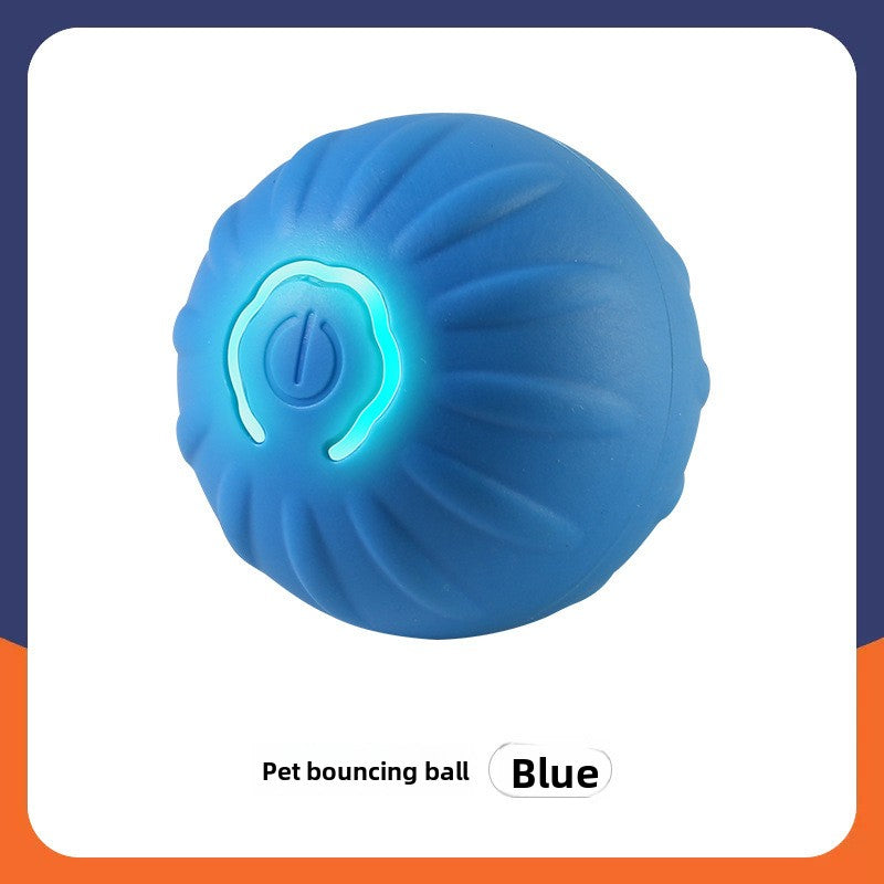 Pet Toy Ball