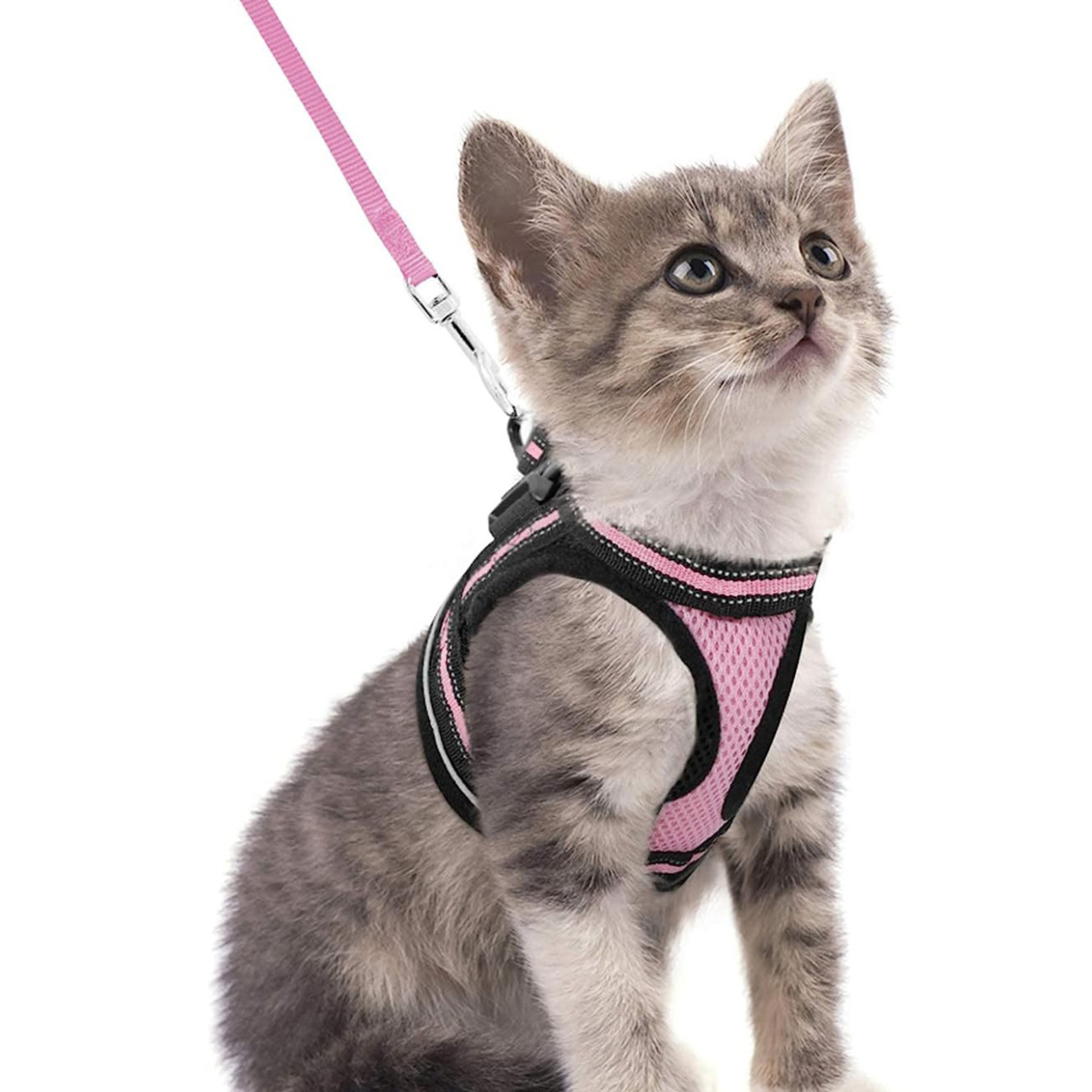 Adjustable Reflective Pet Harness with Leash