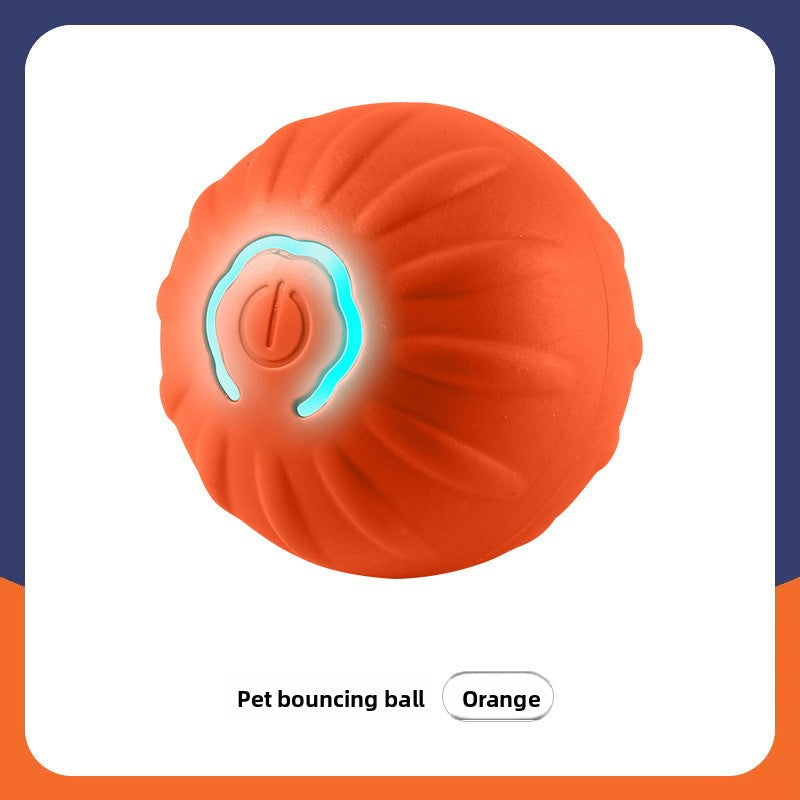 Pet Toy Ball