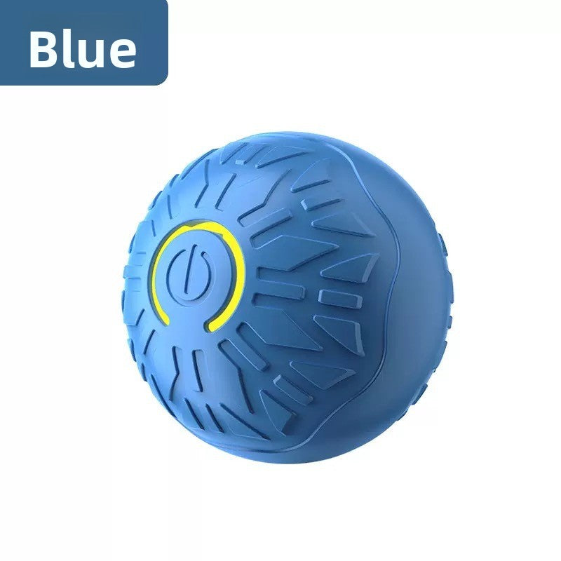 Pet Toy Ball
