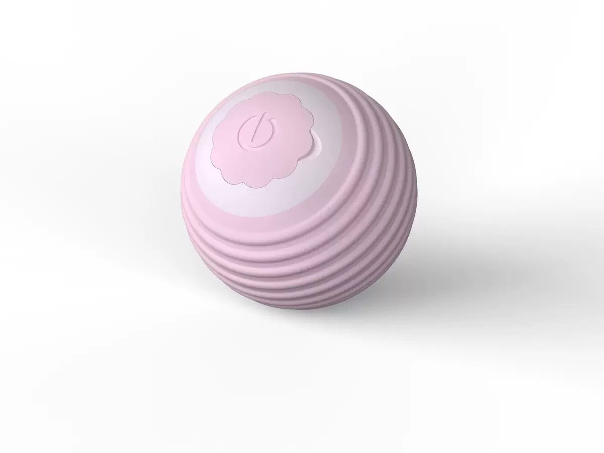 Pet Toy Ball
