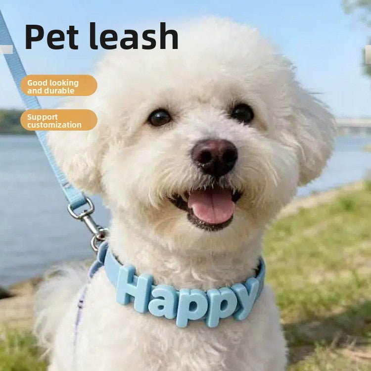 Custom Silicone Pet Leash with Name Tag